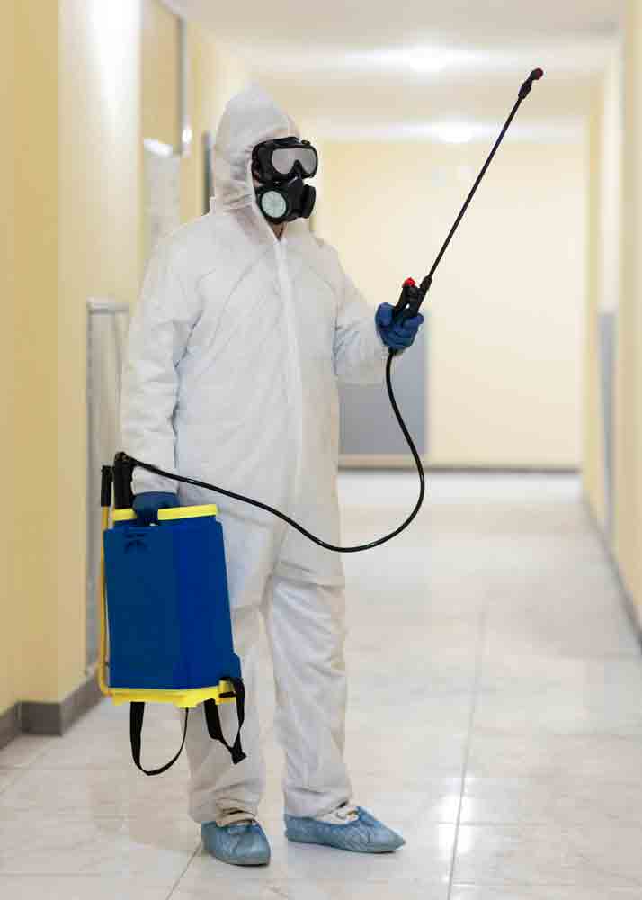 Pest Control & Fumigation Services Nairobi