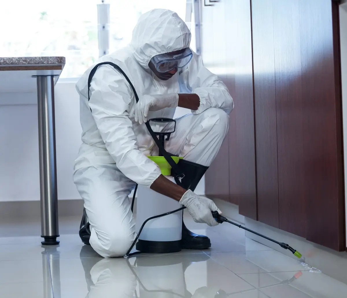 Pest Control & Fumigation Services